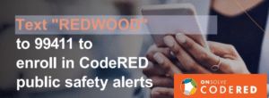 CodeRed Text Information